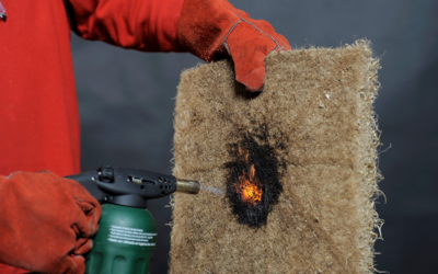 CHARLA: Producto de Construcción 100% Naturales y Compostables Hechos a Bases de Raíces