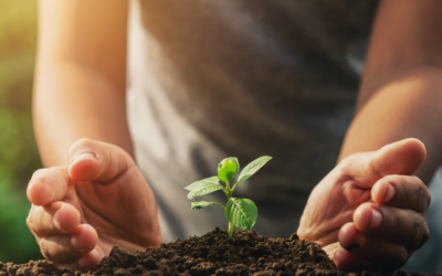 Hora del Planeta: la acción global para unirse a la lucha por el cambio climático